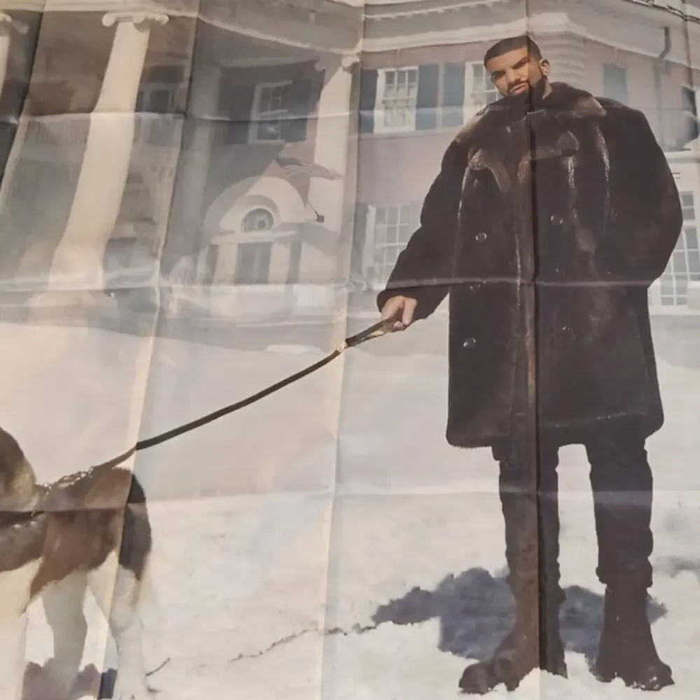 Drake Views Winter Scene Tapestry Wall Hanging 3x5 ft w/ Metal Grommets